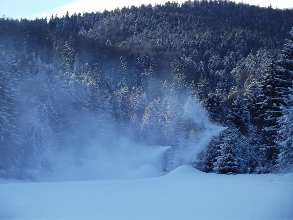 Pensiunea Casa Zmeilor Dragus Esterno foto