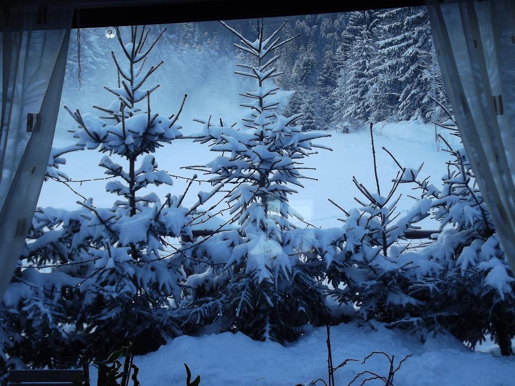 Pensiunea Casa Zmeilor Dragus Esterno foto