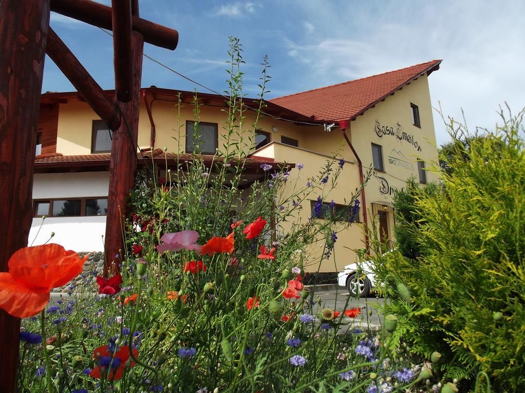 Pensiunea Casa Zmeilor Dragus Esterno foto